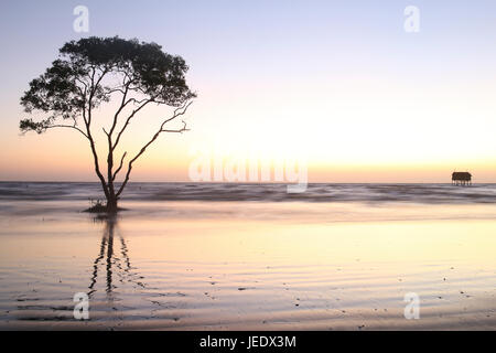 Albero solitario e casa sulla spiaggia nessuno sfondo abtract Tan Thanh Beach Go Cong Viet Nam Foto di viaggio Foto Stock