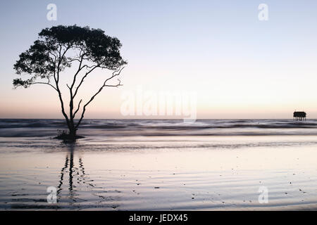 Albero solitario e casa sulla spiaggia nessuno sfondo abtract Tan Thanh Beach Go Cong Viet Nam Foto di viaggio Foto Stock