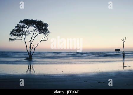 Albero solitario e casa sulla spiaggia nessuno sfondo abtract Tan Thanh Beach Go Cong Viet Nam Foto di viaggio Foto Stock