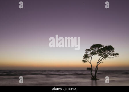 Albero solitario e casa sulla spiaggia nessuno sfondo abtract Tan Thanh Beach Go Cong Viet Nam Foto di viaggio Foto Stock