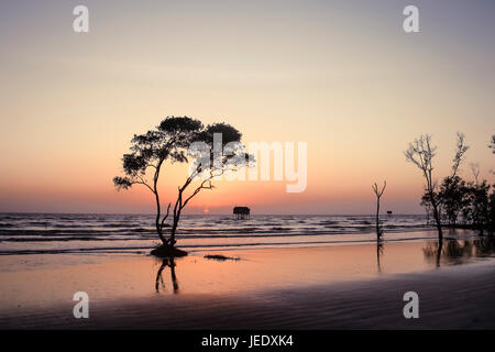 Albero solitario e casa sulla spiaggia nessuno sfondo abtract Tan Thanh Beach Go Cong Viet Nam Foto di viaggio Foto Stock