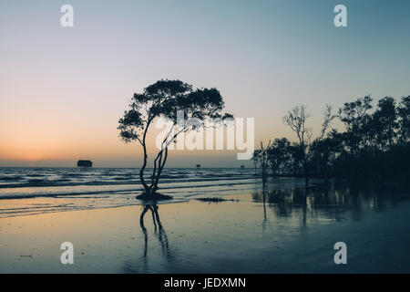 Albero solitario e casa sulla spiaggia nessuno sfondo abtract Tan Thanh Beach Go Cong Viet Nam Foto di viaggio Foto Stock