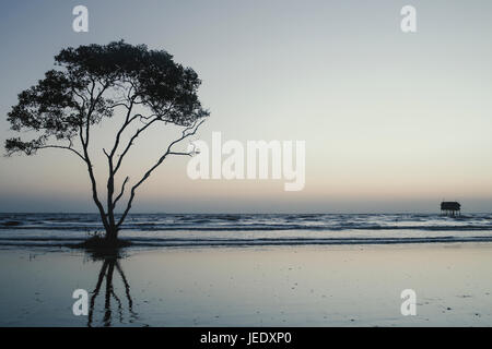 Albero solitario e casa sulla spiaggia nessuno sfondo abtract Tan Thanh Beach Go Cong Viet Nam Foto di viaggio Foto Stock