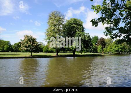 Vista sul fiume, Bedford, Bedfordshire Foto Stock