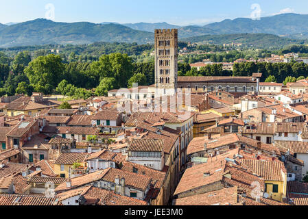 La città medievale di Lucca con San Frediano torre campanaria, Toscana, Italia Foto Stock