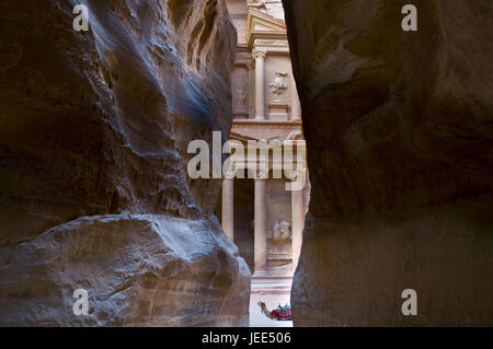 Vista dalla bile crepa nel tesoro, Khazne al-Firaun, cammello, Petra, Giordania, Foto Stock