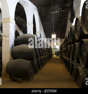 Spagna, Andalusia, provincia di Cadiz, Jerez de la Frontera, botti di vino in una cantina di vini, Foto Stock