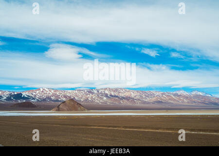 Salar de Maricunga nel Parque Nacional Nevado Tres Cruces, Cile Foto Stock