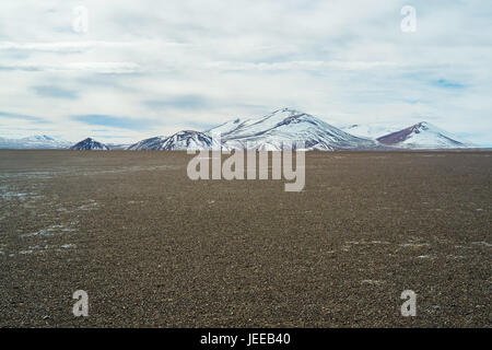 Salar de Maricunga nel Parque Nacional Nevado Tres Cruces, Cile Foto Stock