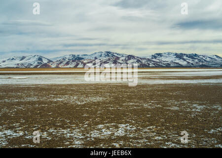 Salar de Maricunga nel Parque Nacional Nevado Tres Cruces, Cile Foto Stock