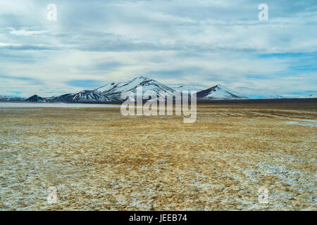 Salar de Maricunga nel Parque Nacional Nevado Tres Cruces, Cile Foto Stock