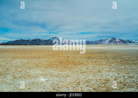 Salar de Maricunga nel Parque Nacional Nevado Tres Cruces, Cile Foto Stock