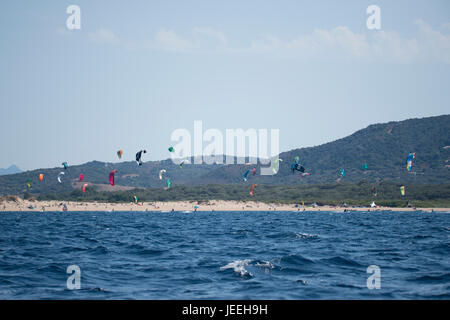 Kite surfers al tramonto sul Porto Pollo, Sardegna, Italia Foto Stock