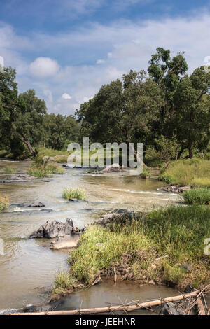Il Tamil Nadu, India - 26 Ottobre 2013: Ritratto di fiume Moyar Masamigulli nella foresta. Acqua di colore marrone scorre su rocce attraverso la giungla verde und Foto Stock