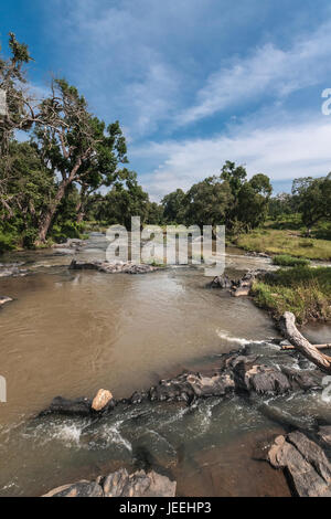 Il Tamil Nadu, India - 26 Ottobre 2013: Closeup ritratto del Fiume Moyar Masamigulli nella foresta. Acqua di colore marrone scorre su rocce attraverso il verde ju Foto Stock