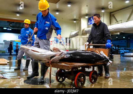 Osaka all'ingrosso centrale rinnovato come la cucina di Osaka ed è il più grande mercato del pesce nella regione di Kansai Foto Stock