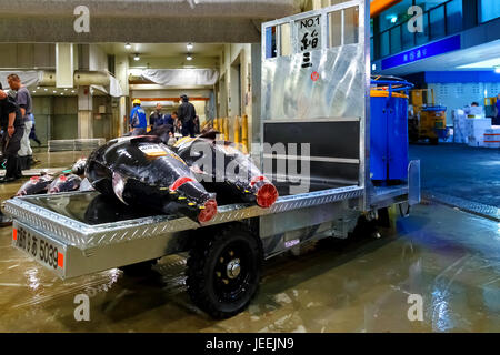 Osaka all'ingrosso centrale rinnovato come la cucina di Osaka ed è il più grande mercato del pesce nella regione di Kansai Foto Stock