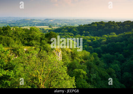 Serata estiva vista sulla gola Ebbor Riserva Naturale Nazionale in Mendip Hills, Somerset, Inghilterra. Foto Stock