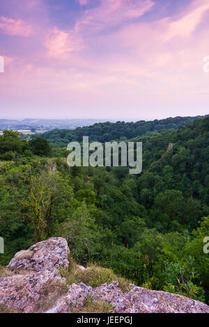 Serata estiva vista sulla gola Ebbor Riserva Naturale Nazionale in Mendip Hills, Somerset, Inghilterra. Foto Stock