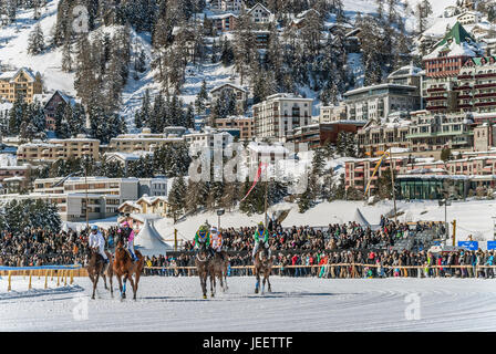 Gara di cavalli White Turf 2014 di fronte a St.Moritz Dorf, Svizzera Foto Stock