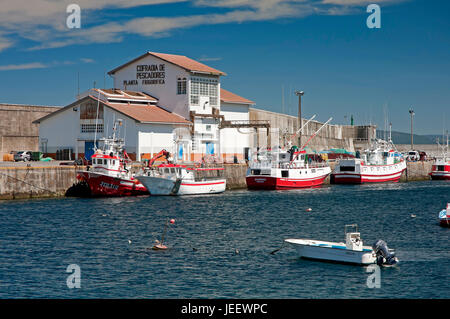 Porto di pesca, Malpica de Bergantinos, La Coruna provincia, regione della Galizia, Spagna, Europa Foto Stock