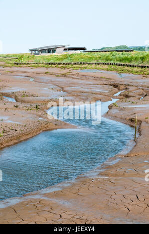 Il Nord Parrinder Nascondi affacciato sulla Palude di volontariato a RSPB Titchwell Marsh bird reserve sulla Costa North Norfolk. Foto Stock