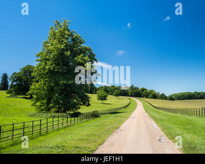 Un pallido country road sotto il cielo limpido e sfuggente in un lontano punto di fuga in una giornata di sole vicino a St Albans, Hertfordshire, Inghilterra. Foto Stock