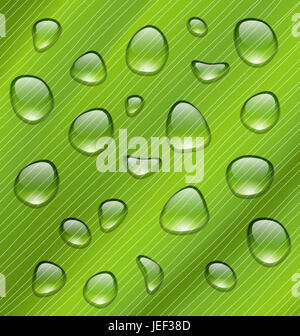 Illustrazione di gocce di acqua sul verde e fresco di Texture foglia - Foto Stock