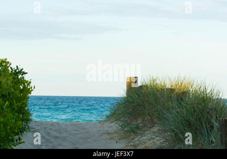 Un sentiero sabbioso conduce ad una spiaggia dell'Australian east coast Foto Stock