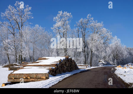 Taglio di legname in inverno, la pila di legno nel bordo della strada., Holzeinschlag im Winter, Holzstapel am Strassenrand. Foto Stock