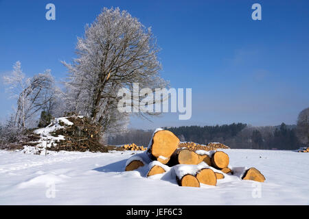 Taglio di legname in inverno, la pila di legno nel bordo della strada., Holzeinschlag im Winter, Holzstapel am Strassenrand. Foto Stock