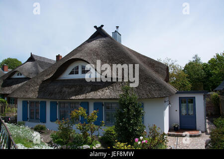 Casa tipica in Wustrow sul Darss, Germania., Typische Haus in Wustrow auf dem Darss, Deutschland. Foto Stock