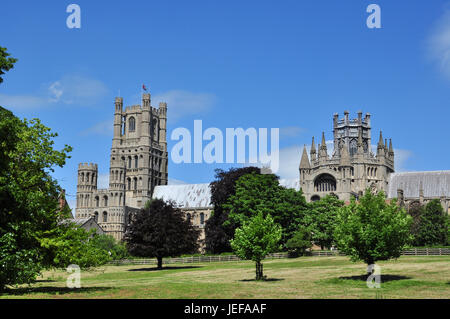 Cattedrale di Ely (visto dal parco), Ely, Cambridgeshire, England, Regno Unito Foto Stock