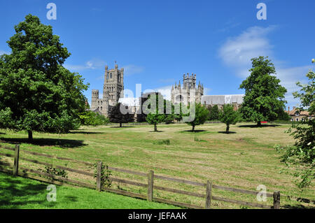 Cattedrale di Ely (visto dal parco), Ely, Cambridgeshire, England, Regno Unito Foto Stock