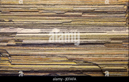 Gneiss dettaglio, Repubblica Ceca Foto Stock