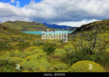 Lago Nordenskjold, Parco Nazionale Torres del Paine, Patagonia, Cile Southamerica Foto Stock