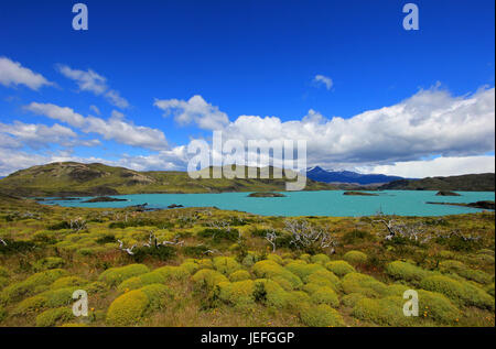 Lago Nordenskjold, Parco Nazionale Torres del Paine, Patagonia, Cile Southamerica Foto Stock