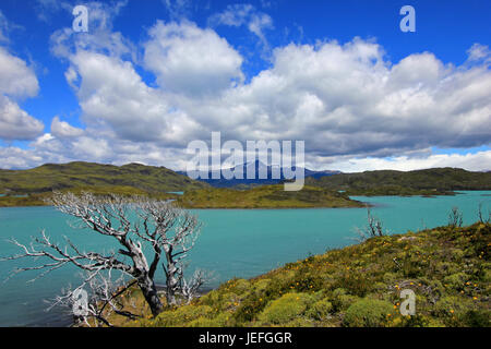 Lago Nordenskjold, Parco Nazionale Torres del Paine, Patagonia, Cile Southamerica Foto Stock