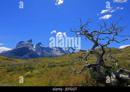 Cuernos Paine Grande, Parco Nazionale Torres del Paine, Patagonia, Cile, Southamerica Foto Stock