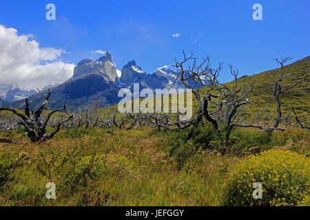 Cuernos Paine Grande, Parco Nazionale Torres del Paine, Patagonia, Cile, Southamerica Foto Stock