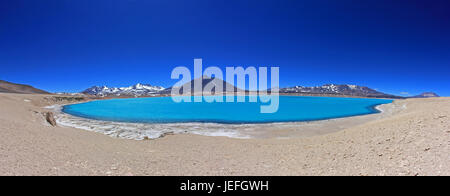 Bella e verde Laguna, Laguna Verde, vicino mountain pass San Francisco e del Nevado Ojos del Salado, Atacama, Cile Foto Stock