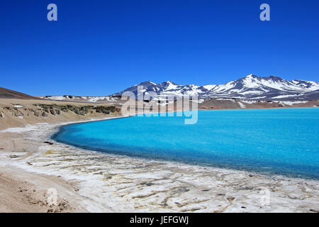 Bella e verde Laguna, Laguna Verde, vicino mountain pass San Francisco e del Nevado Ojos del Salado, Atacama, Cile Foto Stock