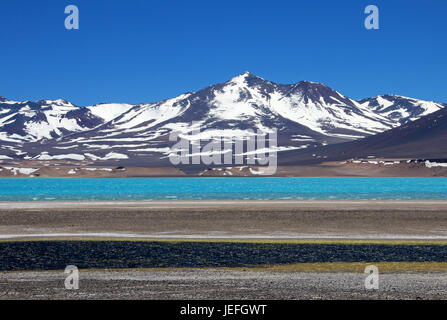 Bella e verde Laguna, Laguna Verde, vicino mountain pass San Francisco e del Nevado Ojos del Salado, Atacama, Cile Foto Stock