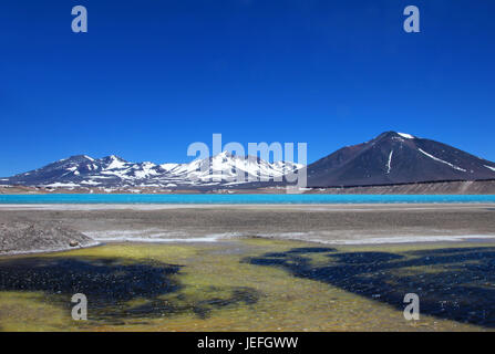 Bella e verde Laguna, Laguna Verde, vicino mountain pass San Francisco e del Nevado Ojos del Salado, Atacama, Cile Foto Stock