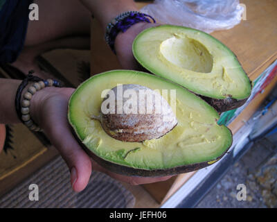 La donna che mostra enorme di avocado fresco in stretta fino Foto Stock