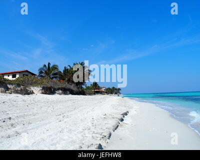 Spiaggia di sabbia a mare dei Caraibi nella città di Varadero a Cuba con acqua chiara sul mare paesaggio e palme esotiche e alberi e cielo blu chiaro nel 2017 caldo su Foto Stock