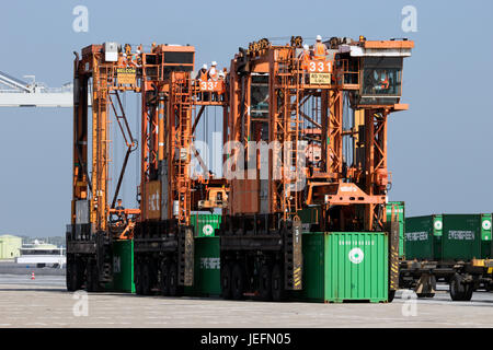 ROTTERDAM - Settembre 6, 2015: Straddle Carrier movimentazione di contenitori in un terminale marittimo nel porto di Rotterdam Foto Stock