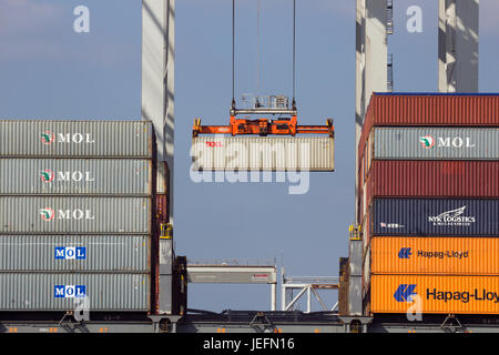 ROTTERDAM, PAESI BASSI - Mar 16, 2016: Mare contenitore viene caricato su una nave nel porto di Rotterdam. Foto Stock