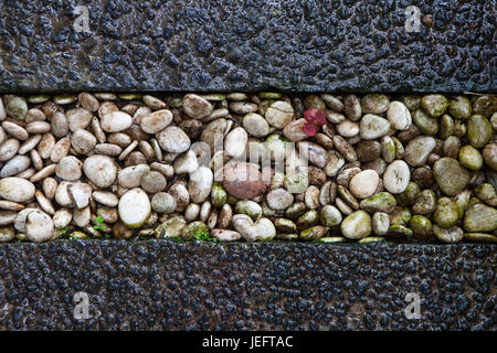 Pavimento di pietre rotonde sfondo Foto Stock