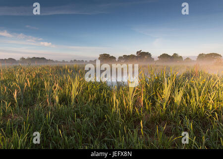 Villaggio di Coddington, Inghilterra. Suggestivo tramonto su un pascolo campo agricolo e stagno d'acqua dolce nelle zone rurali del Cheshire. Foto Stock